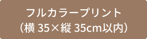 フルカラープリントボタン35cm