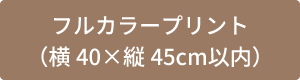 フルカラープリントボタン40cm